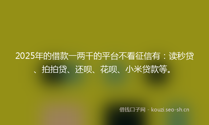 2025年的借款一两千的平台不看征信有：读秒贷、拍拍贷、还呗、花呗、小米贷款等。