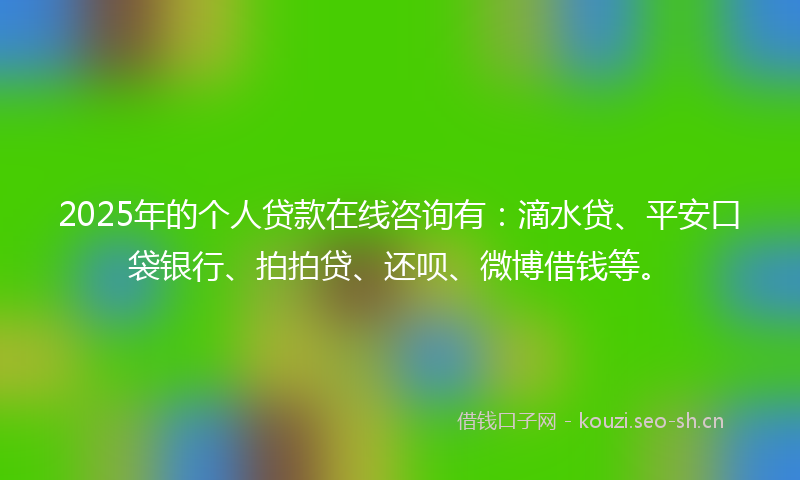 2025年的个人贷款在线咨询有：滴水贷、平安口袋银行、拍拍贷、还呗、微博借钱等。