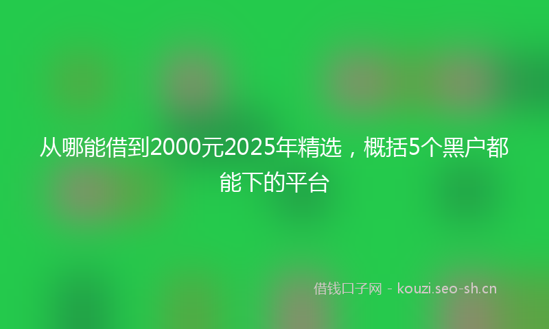 从哪能借到2000元2025年精选，概括5个黑户都能下的平台