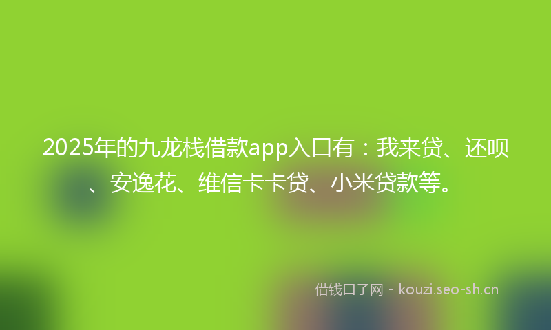 2025年的九龙栈借款app入口有：我来贷、还呗、安逸花、维信卡卡贷、小米贷款等。