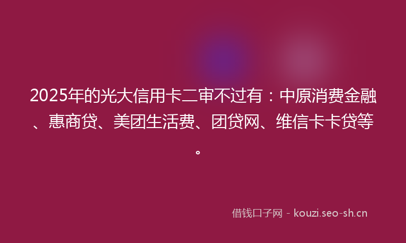 2025年的光大信用卡二审不过有：中原消费金融、惠商贷、美团生活费、团贷网、维信卡卡贷等。