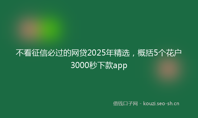 不看征信必过的网贷2025年精选，概括5个花户3000秒下款app