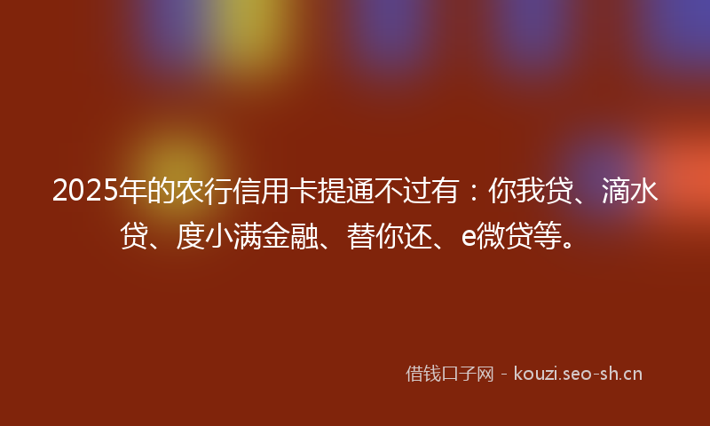 2025年的农行信用卡提通不过有：你我贷、滴水贷、度小满金融、替你还、e微贷等。