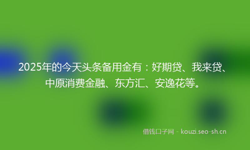 2025年的今天头条备用金有：好期贷、我来贷、中原消费金融、东方汇、安逸花等。