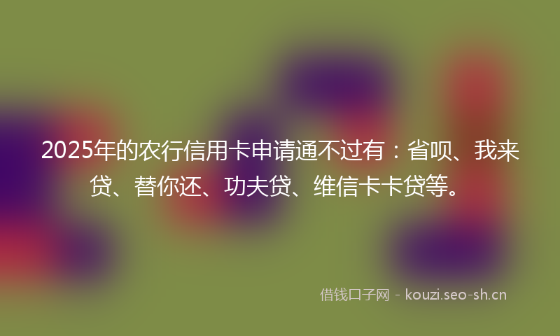 2025年的农行信用卡申请通不过有：省呗、我来贷、替你还、功夫贷、维信卡卡贷等。