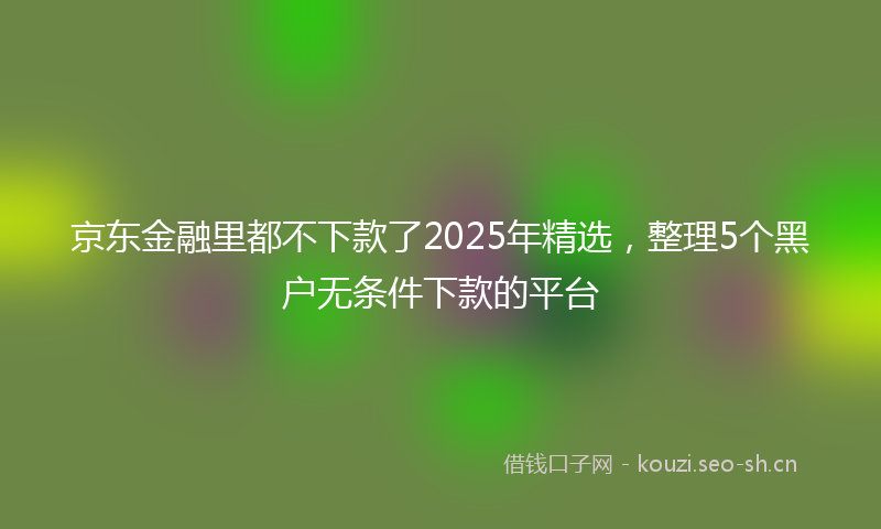 京东金融里都不下款了2025年精选，整理5个黑户无条件下款的平台