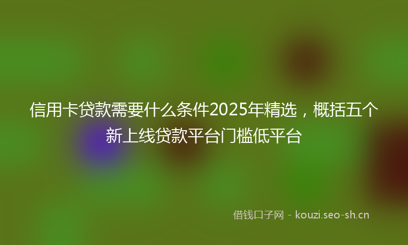 信用卡贷款需要什么条件2025年精选,概括五个新上线贷款平台门槛低平台