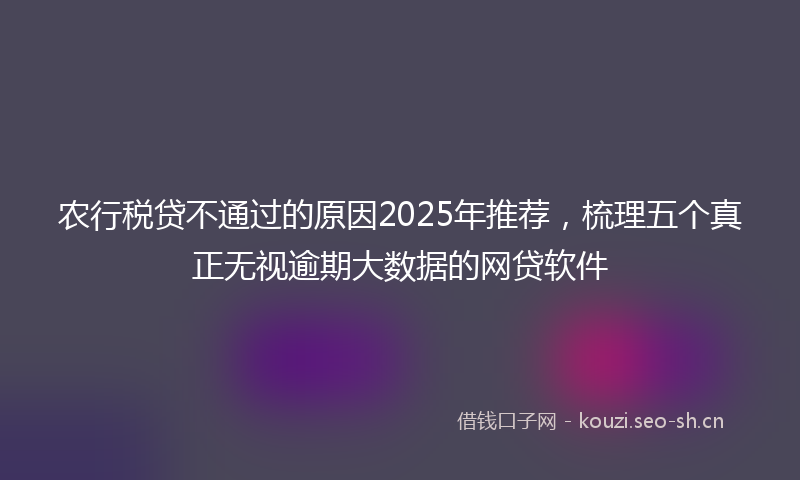 农行税贷不通过的原因2025年推荐,梳理五个真正无视逾期大数据的网贷软件