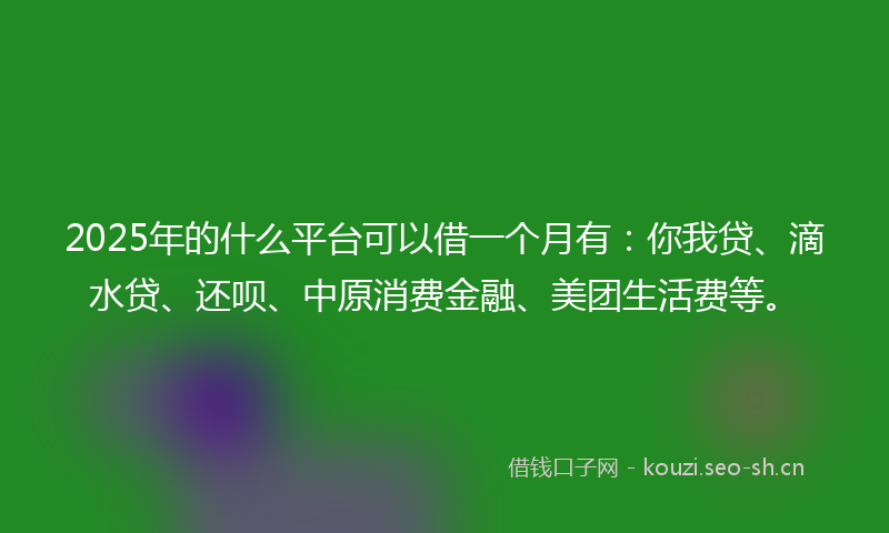 2025年的什么平台可以借一个月有：你我贷、滴水贷、还呗、中原消费金融、美团生活费等。