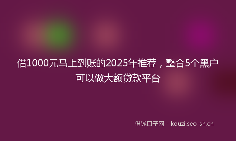 借1000元马上到账的2025年推荐，整合5个黑户可以做大额贷款平台
