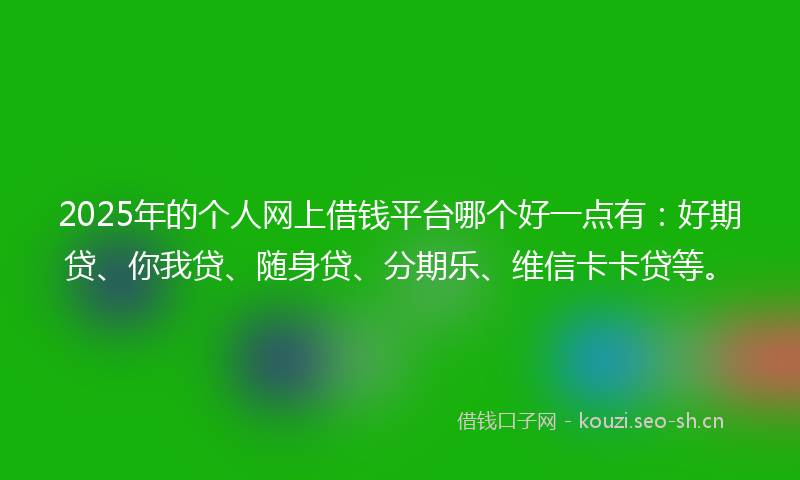 2025年的个人网上借钱平台哪个好一点有：好期贷、你我贷、随身贷、分期乐、维信卡卡贷等。