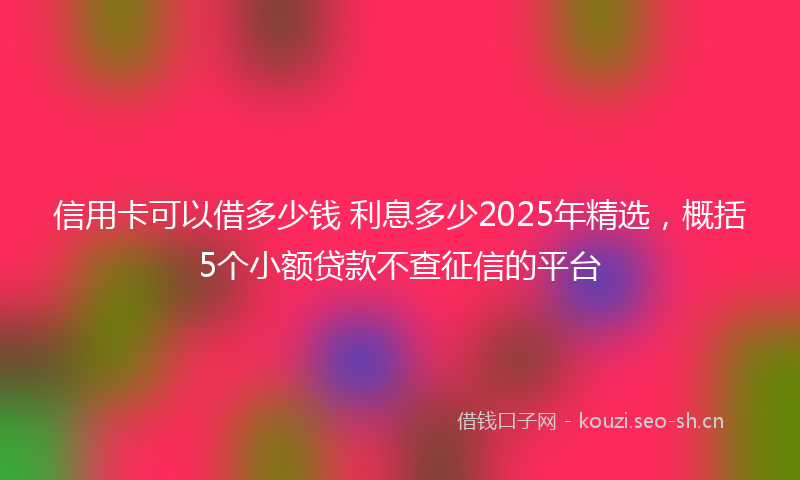 信用卡可以借多少钱 利息多少2025年精选，概括5个小额贷款不查征信的平台