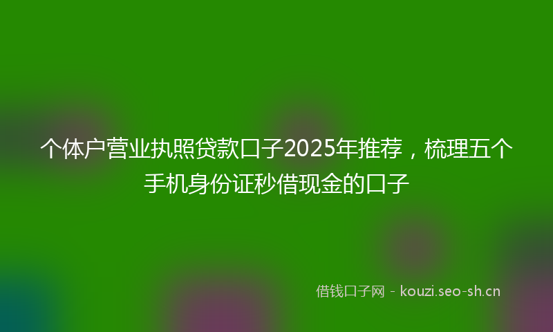 个体户营业执照贷款口子2025年推荐，梳理五个手机身份证秒借现金的口子