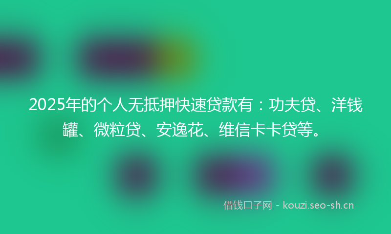 2025年的个人无抵押快速贷款有：功夫贷、洋钱罐、微粒贷、安逸花、维信卡卡贷等。