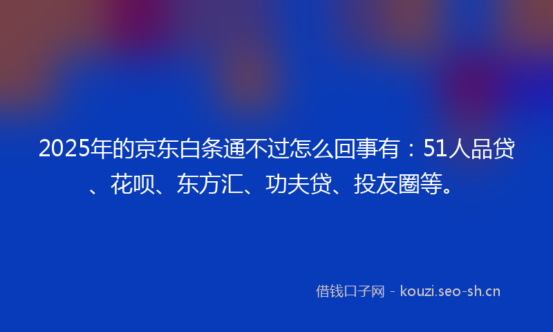 2025年的京东白条通不过怎么回事有:51人品贷、花呗、东方汇、功夫贷、投友圈等。