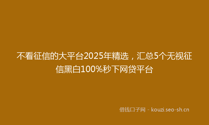 不看征信的大平台2025年精选，汇总5个无视征信黑白100%秒下网贷平台