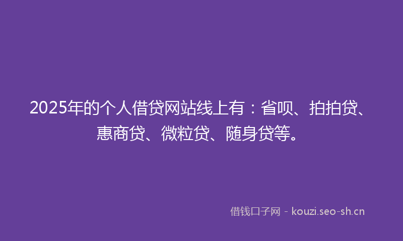 2025年的个人借贷网站线上有：省呗、拍拍贷、惠商贷、微粒贷、随身贷等。