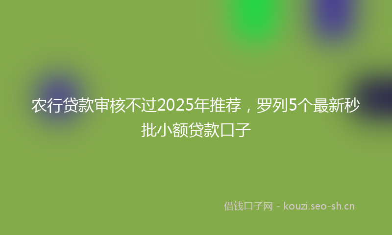 农行贷款审核不过2025年推荐，罗列5个最新秒批小额贷款口子