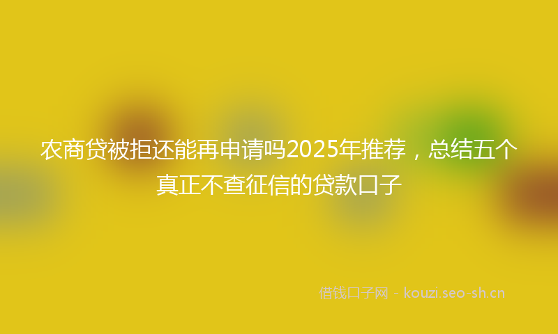 农商贷被拒还能再申请吗2025年推荐，总结五个真正不查征信的贷款口子
