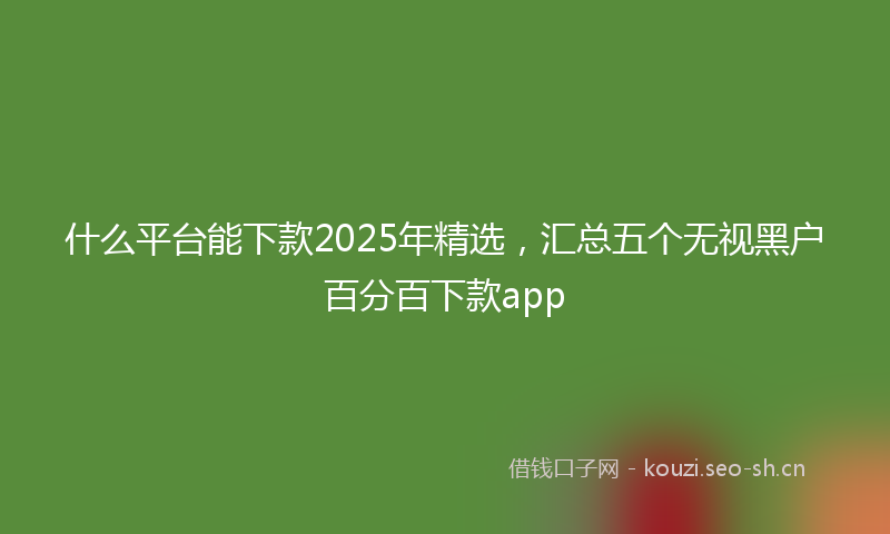 什么平台能下款2025年精选，汇总五个无视黑户百分百下款app