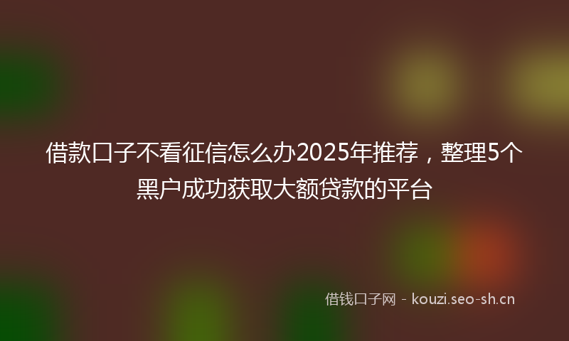 借款口子不看征信怎么办2025年推荐，整理5个黑户成功获取大额贷款的平台