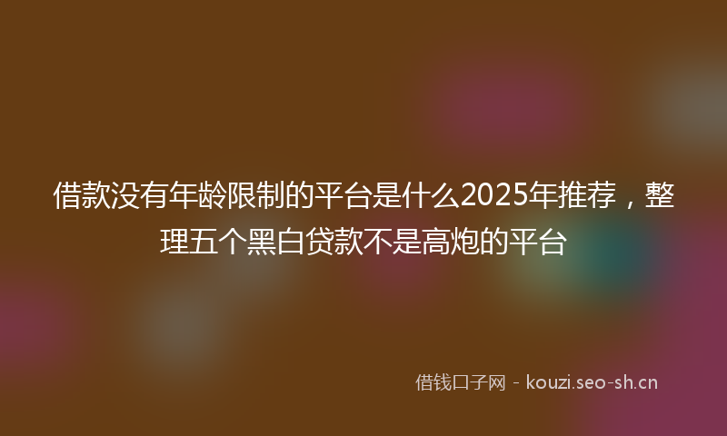 借款没有年龄限制的平台是什么2025年推荐，整理五个黑白贷款不是高炮的平台