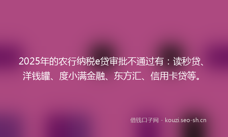 2025年的农行纳税e贷审批不通过有：读秒贷、洋钱罐、度小满金融、东方汇、信用卡贷等。