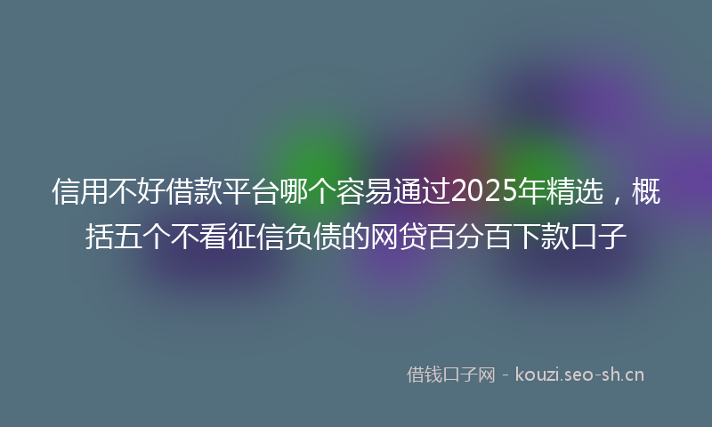 信用不好借款平台哪个容易通过2025年精选,概括五个不看征信负债的网贷百分百下款口子