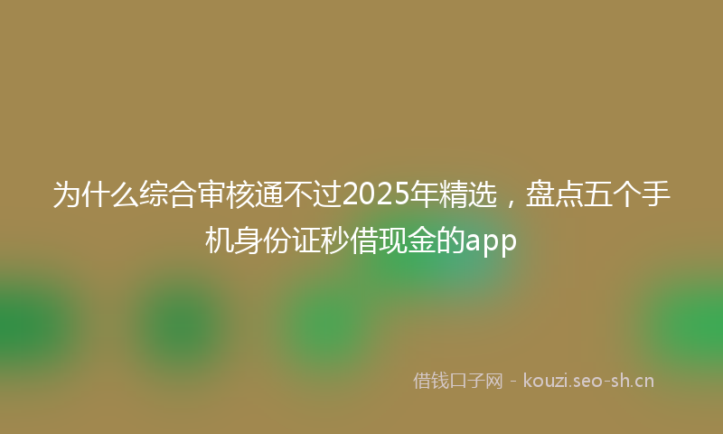 为什么综合审核通不过2025年精选，盘点五个手机身份证秒借现金的app