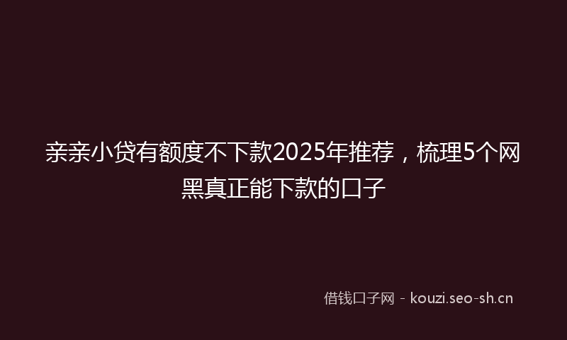 亲亲小贷有额度不下款2025年推荐，梳理5个网黑真正能下款的口子