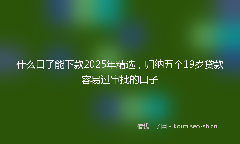 什么口子能下款2025年精选，归纳五个19岁贷款容易过审批的口子