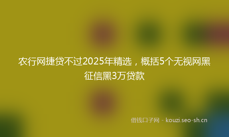农行网捷贷不过2025年精选，概括5个无视网黑征信黑3万贷款