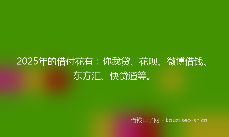 2025年的借付花有：你我贷、花呗、微博借钱、东方汇、快贷通等。