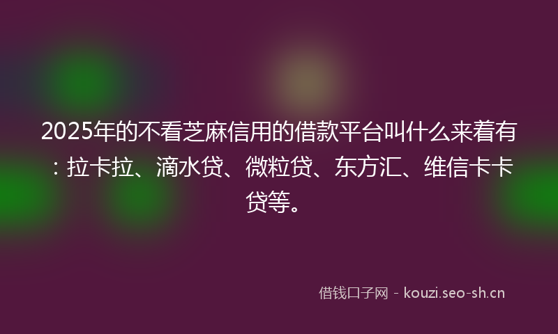 2025年的不看芝麻信用的借款平台叫什么来着有：拉卡拉、滴水贷、微粒贷、东方汇、维信卡卡贷等。