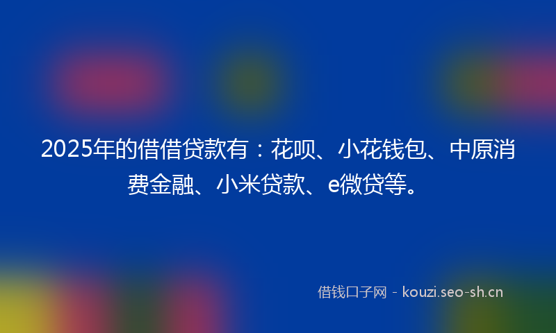 2025年的借借贷款有：花呗、小花钱包、中原消费金融、小米贷款、e微贷等。