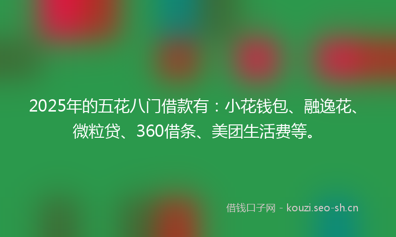 2025年的五花八门借款有：小花钱包、融逸花、微粒贷、360借条、美团生活费等。