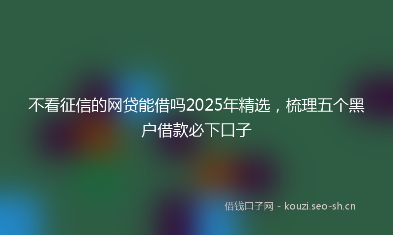 不看征信的网贷能借吗2025年精选，梳理五个黑户借款必下口子