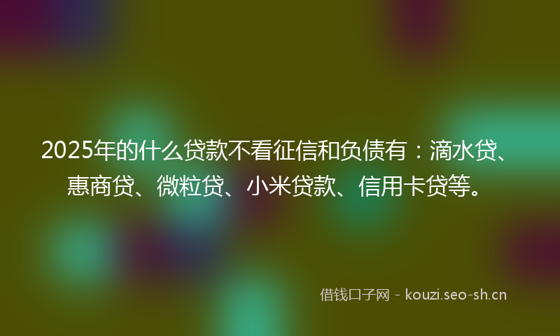 2025年的什么贷款不看征信和负债有：滴水贷、惠商贷、微粒贷、小米贷款、信用卡贷等。