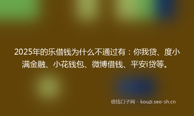 2025年的乐借钱为什么不通过有：你我贷、度小满金融、小花钱包、微博借钱、平安i贷等。