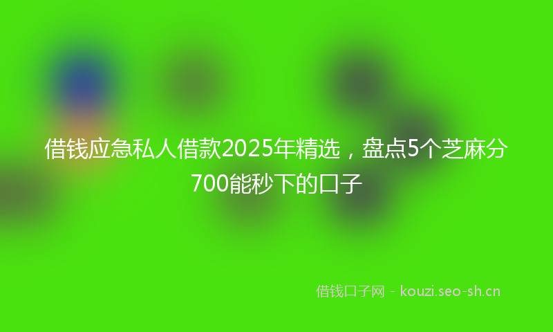 借钱应急私人借款2025年精选，盘点5个芝麻分700能秒下的口子