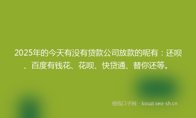 2025年的今天有没有贷款公司放款的呢有：还呗、百度有钱花、花呗、快贷通、替你还等。