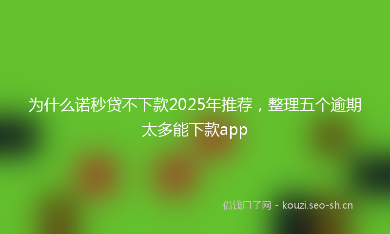 为什么诺秒贷不下款2025年推荐，整理五个逾期太多能下款app