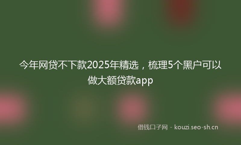 今年网贷不下款2025年精选，梳理5个黑户可以做大额贷款app