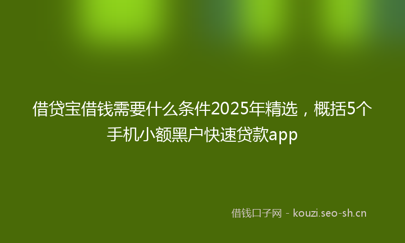 借贷宝借钱需要什么条件2025年精选,概括5个手机小额黑户快速贷款app