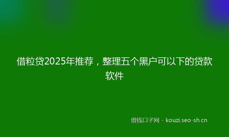 借粒贷2025年推荐，整理五个黑户可以下的贷款软件