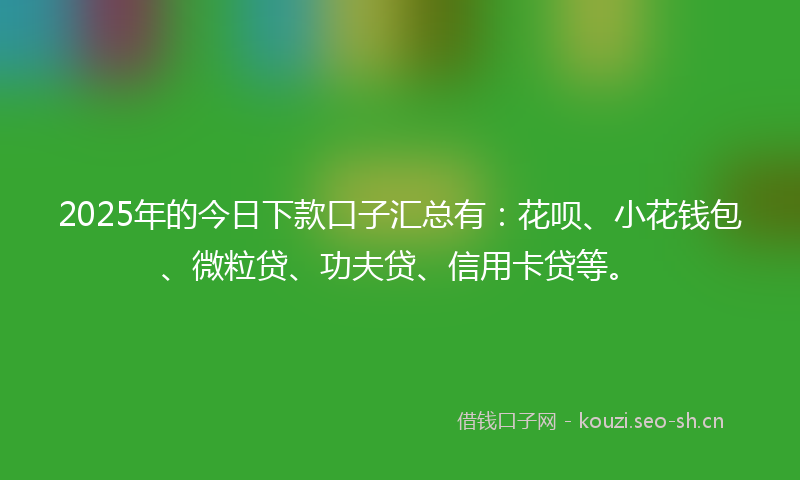2025年的今日下款口子汇总有：花呗、小花钱包、微粒贷、功夫贷、信用卡贷等。