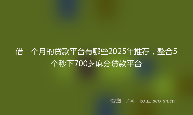 借一个月的贷款平台有哪些2025年推荐，整合5个秒下700芝麻分贷款平台