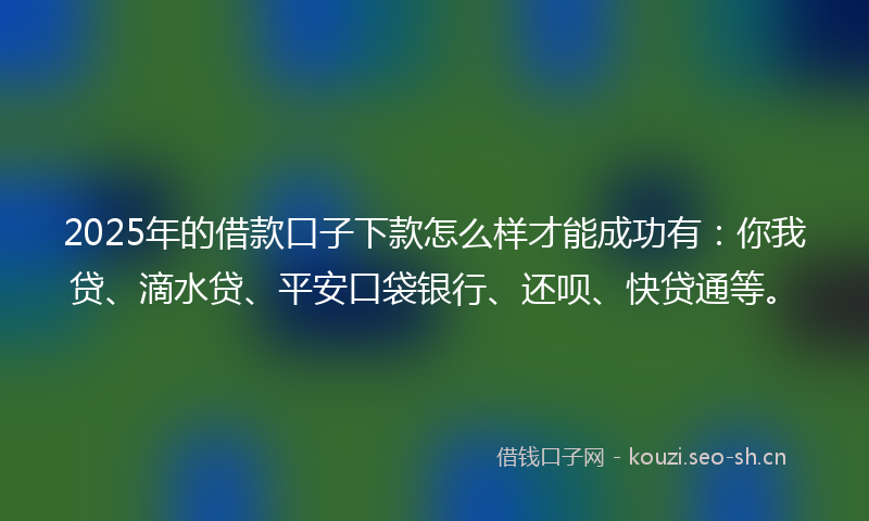 2025年的借款口子下款怎么样才能成功有：你我贷、滴水贷、平安口袋银行、还呗、快贷通等。