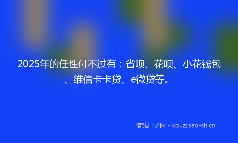 2025年的任性付不过有：省呗、花呗、小花钱包、维信卡卡贷、e微贷等。