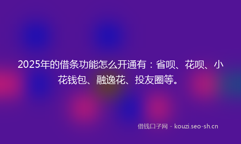 2025年的借条功能怎么开通有：省呗、花呗、小花钱包、融逸花、投友圈等。